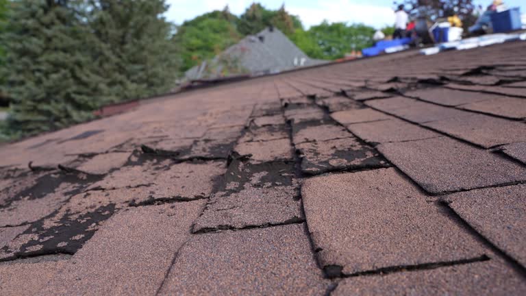 Best Sheet Metal Roofing  in Kapolei, HI